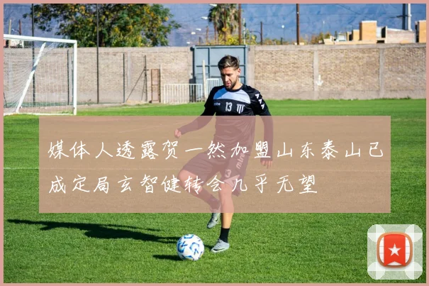 媒体人透露贺一然加盟山东泰山已成定局玄智健转会几乎无望