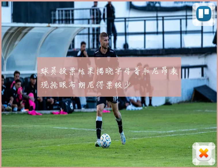 球员投票结果揭晓字母哥和尼昂表现抢眼布朗尼得票较少
