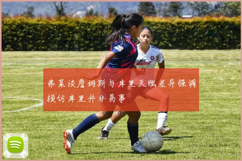 弗莱谈詹姆斯与库里天赋差异强调模仿库里并非易事