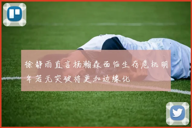 徐静雨直言杨瀚森面临生存危机明年若无突破将更加边缘化