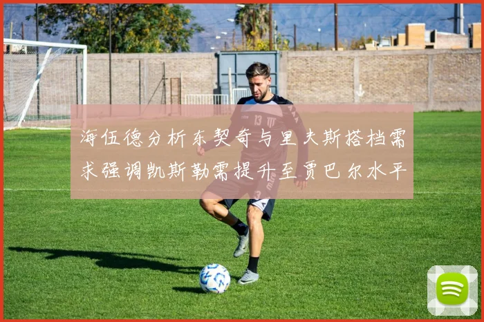 海伍德分析东契奇与里夫斯搭档需求强调凯斯勒需提升至贾巴尔水平