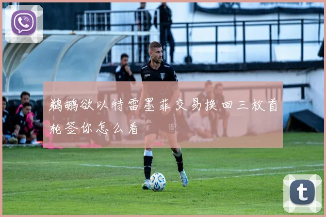 鹈鹕欲以特雷墨菲交易换回三枚首轮签你怎么看