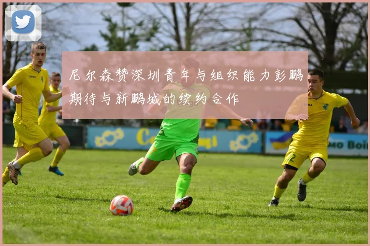 尼尔森赞深圳青年与组织能力彭鹏期待与新鹏城的续约合作